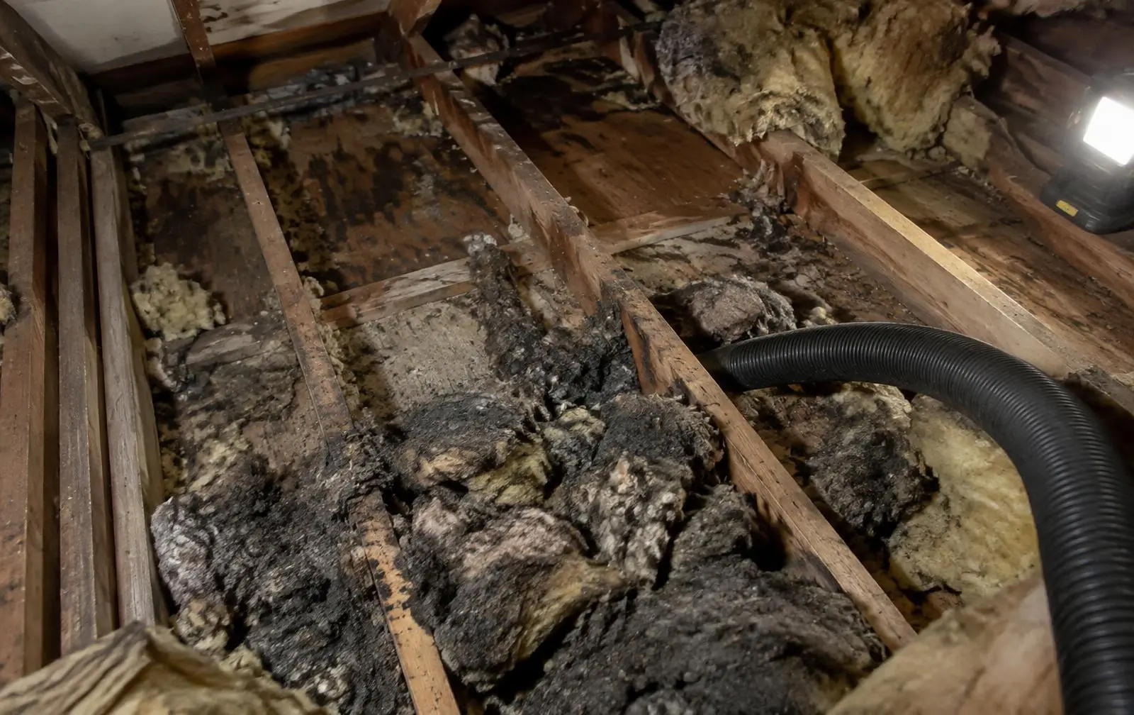 Five Signs Your Attic Insulation Needs to Be Replaced, Not Topped Off